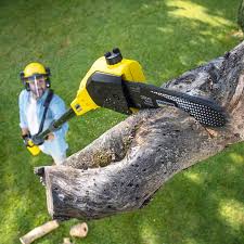 Grass Overseeding in Monroe, UT